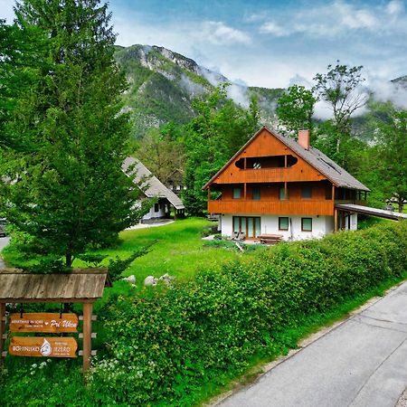 Sobe In Apartmaji Pri Ukcu Bohinj Εξωτερικό φωτογραφία
